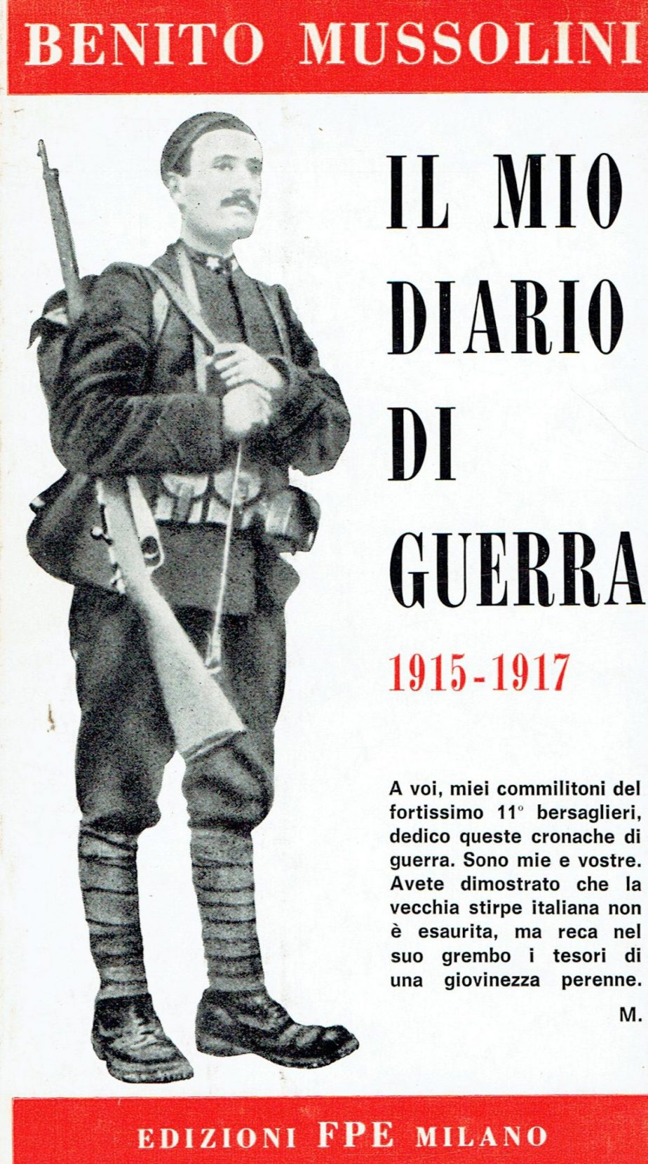 Il mio diario di guerra : 1915-1917